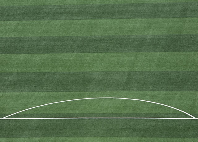 蜕变为关键 蜕变为关键