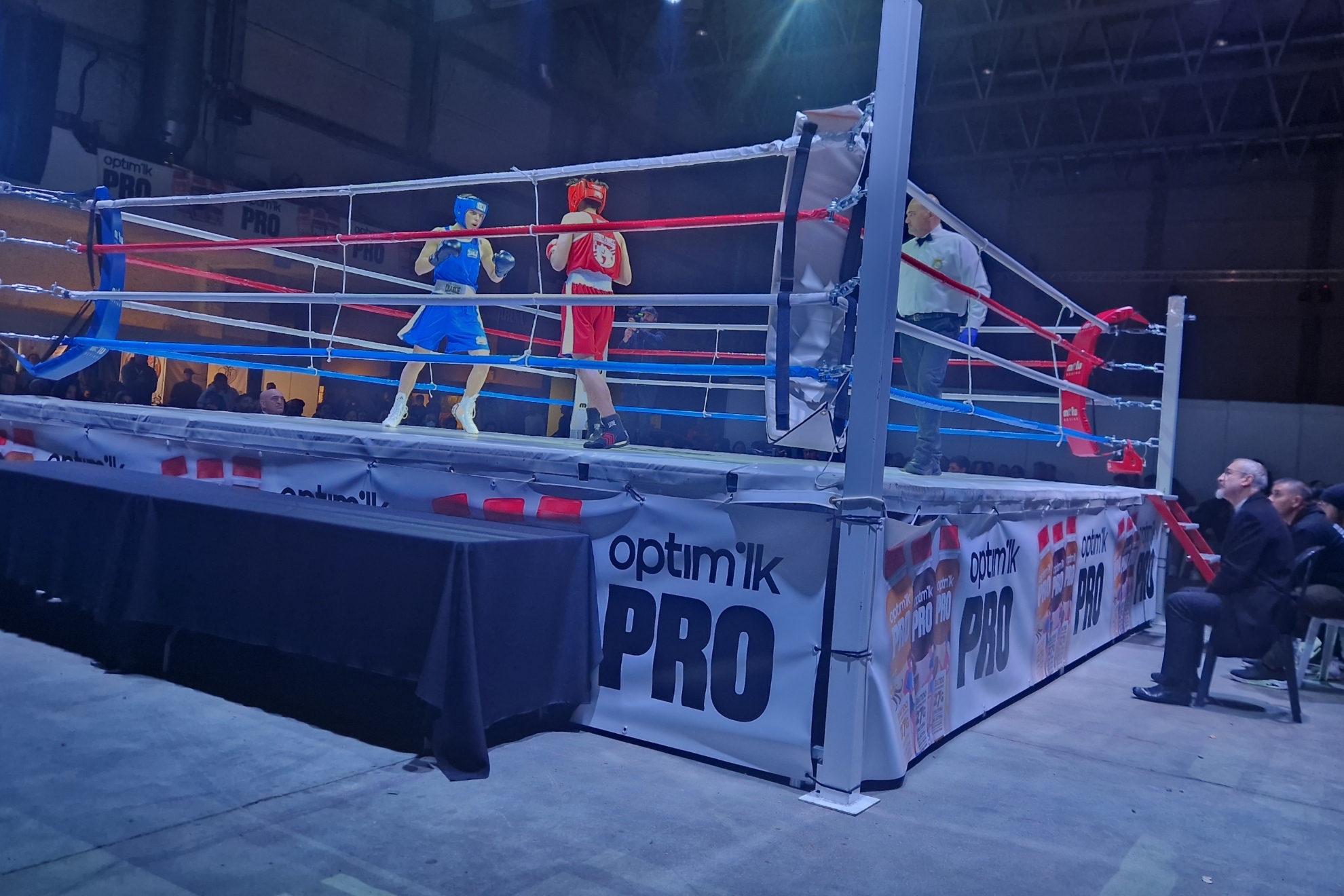 得力不从心 得力不从心