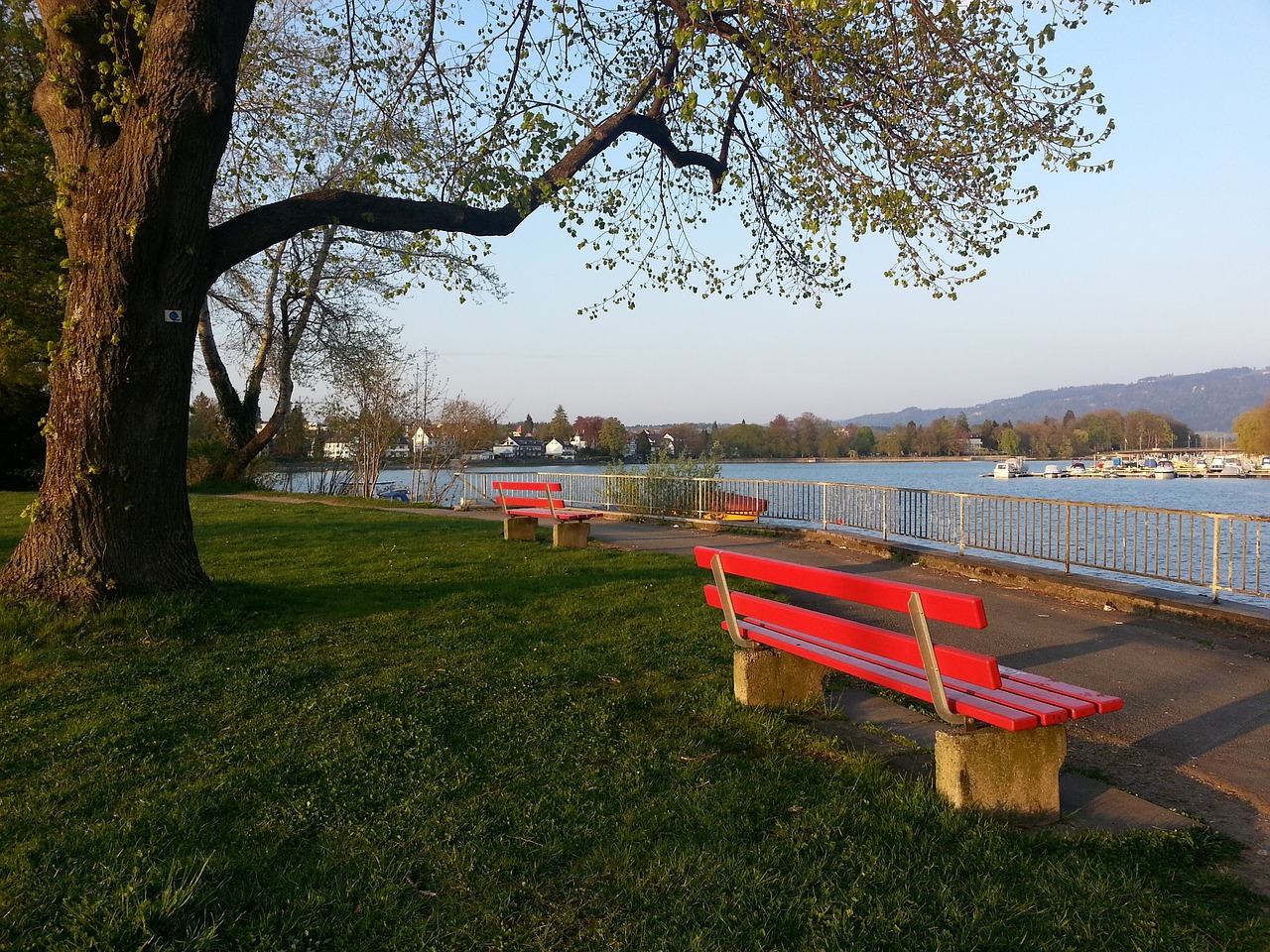 停比赛甚至 停比赛甚至