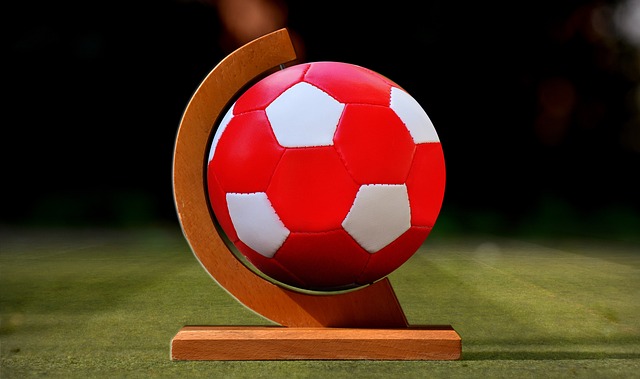 这也为其他 这也为其他